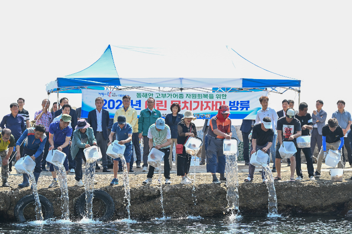 영덕군이 축산면 경정2리, 경정3리에 어린 문치가자미 방류하고 있다. 영덕군 제공