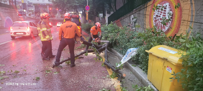 10일 부산 사상구에서 강한 비바람에 나무가 쓰러져 도로를 막고 있다는 신고가 접수돼 소방당국이 안전조치에 나섰다. 부산소방재난본부 제공