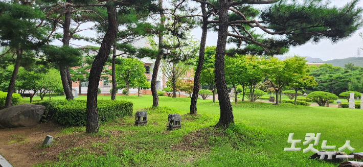 소나무숲 뒤로 박물관 건물이 보인다. 박물관 앞에는 각종 유물들로 노천박물관이 꾸며져 있다. 이재기 기자 