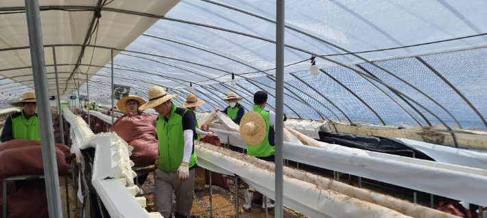 7월 잇따른 호우로 농경지 12000ha 침수, 가축 80만마리 폐사