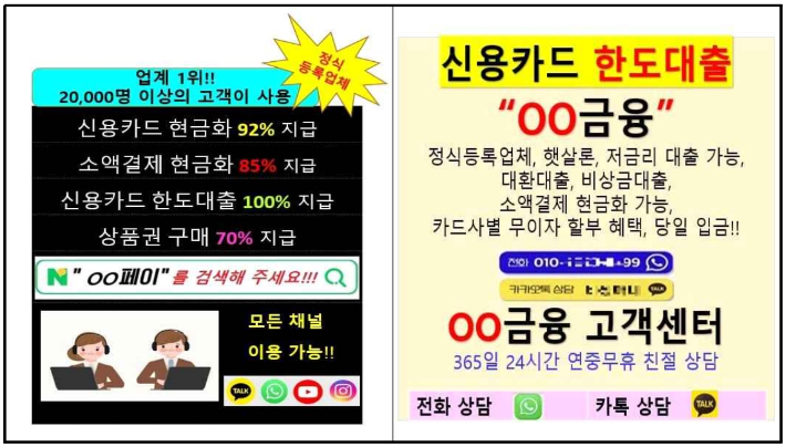 불법 현금융통 관련 광고·홍보 예시. 금융감독원 제공