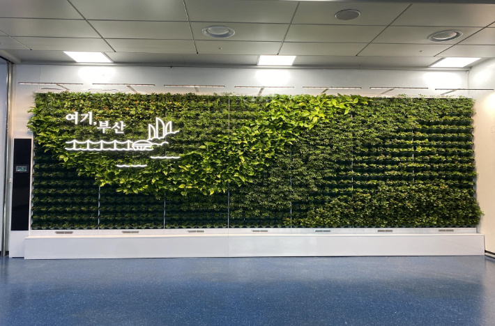 부산시가 김해국제공항에 실내정원을 조성했다. 부산시 제공