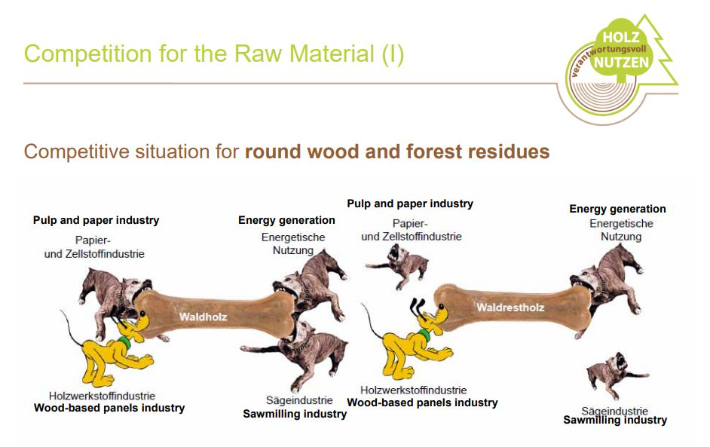 당시 독일 목재 산업계는 에너지 업계와 원료 수급 경쟁을 했다고 한다. 피터 사우어 박사 PPT 캡처