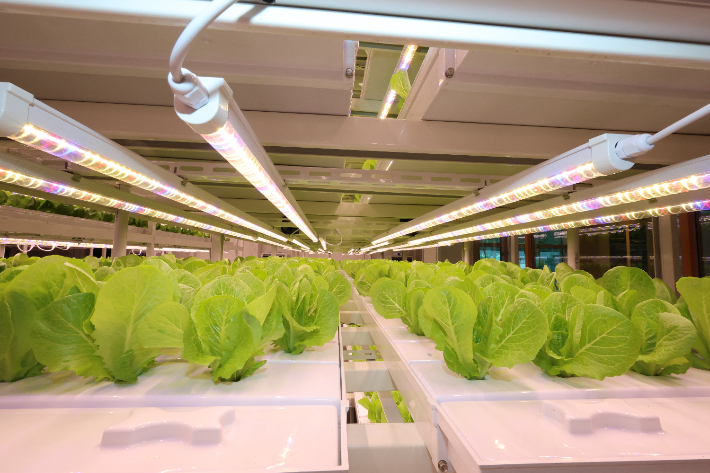 대구 달서구 제공