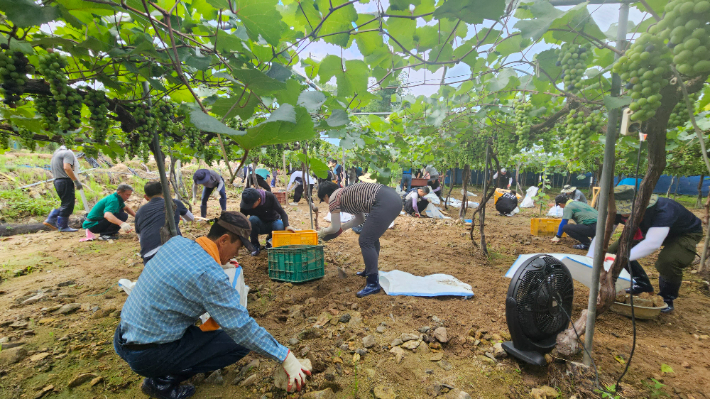 괴산군의회 제공