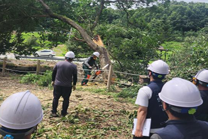 최근 집중호우로 나무가 쓰러진 원주 거돈사지 유적센터 복구 현장. 원주시 제공 