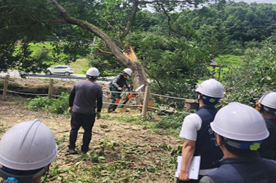 최근 집중호우로 나무가 쓰러진 원주 거돈사지 유적센터 복구 현장. 원주시 제공 