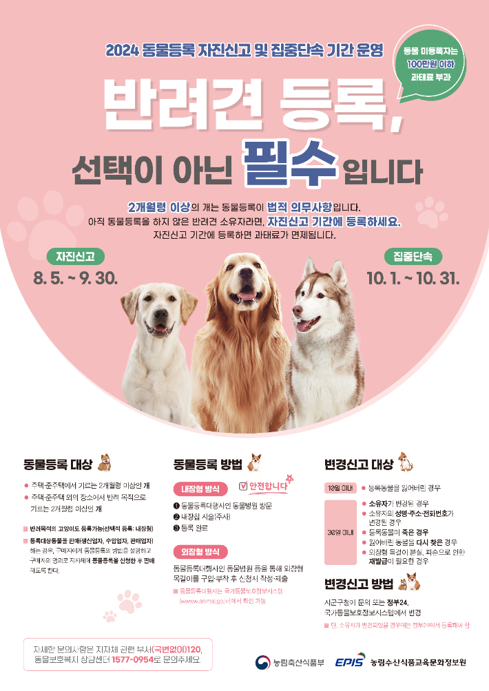 동물등록 자진신고 포스터. 전북도 제공