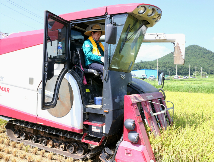 고품질 벼 전남 최초 수확 현장에서 공영민 군수가 농기계에 앉아 있다. 고흥군 제공