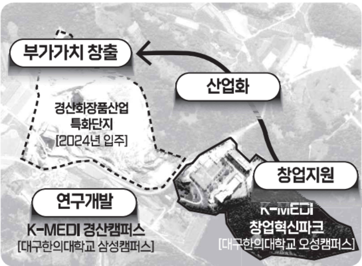 창업혁신파크는 한의학 관련 산업 클러스트 구성을 이끌 추진동력을 제공한다. 대구한의대 글로컬기획서 캡처