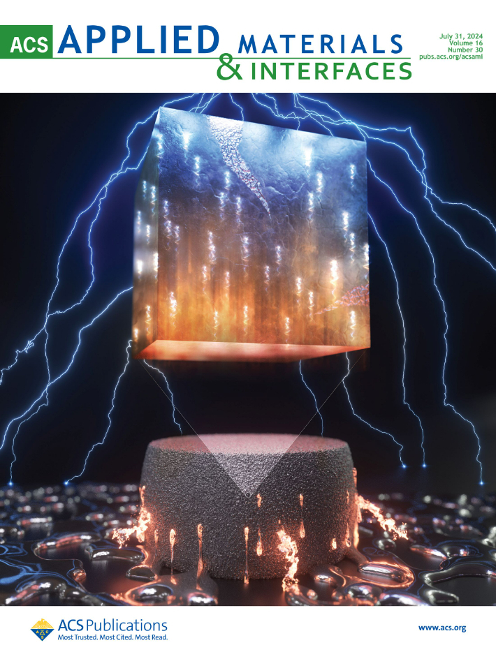 미국화학회 어플라이드 머터리얼스 앤 인터페이스(ACS Applied Materials & Interfaces) 7월호 표지논문 사진. 재료연구원 제공