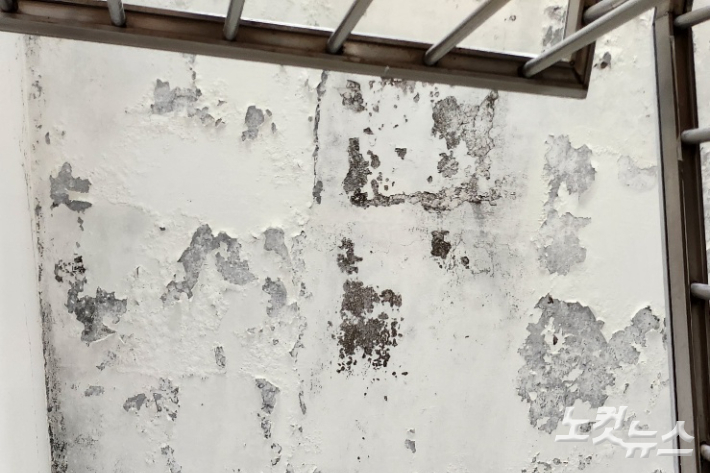 팔공문화원의 천장 페인트가 벗겨져 있다. 계단에는 페인트 찌꺼기들이 어지럽게 널려 있다. 이재기 기자 