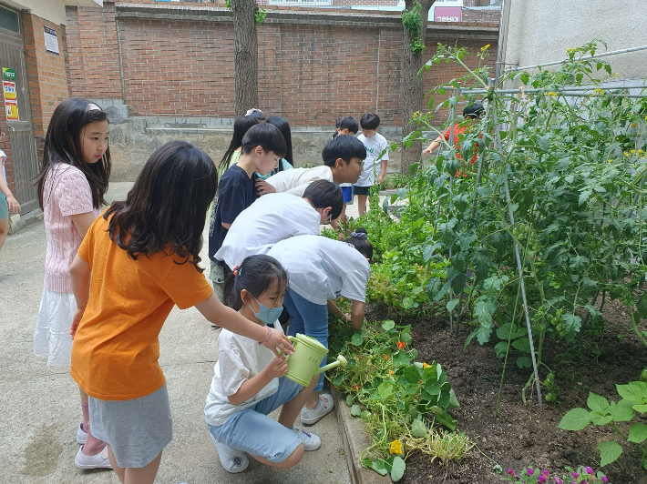 서울중동초등학교 학생들의 생태전환 교육 모습