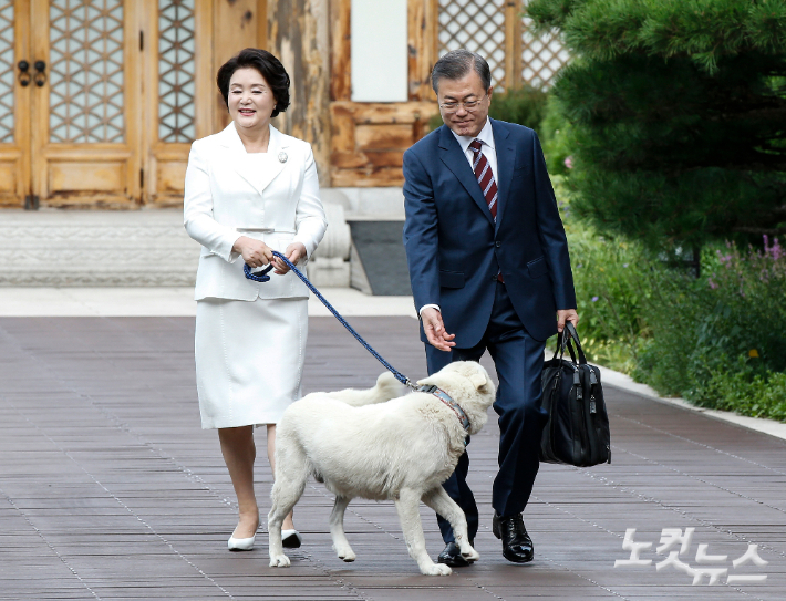 검찰, 문재인 전 대통령 부부 '계좌 추적'[뉴스쏙:속]