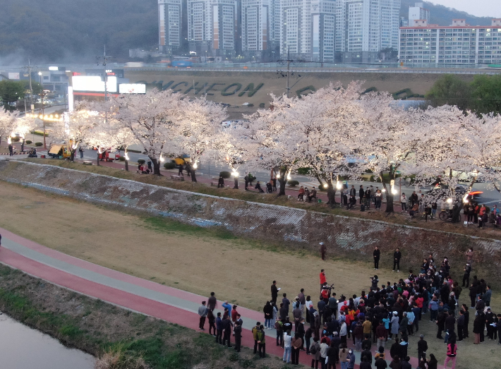 김천시 조각공원 가로수길. 경북도 제공