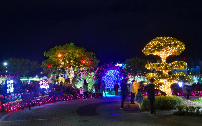 삼척 장미공원 야간 경관. 삼척시 제공