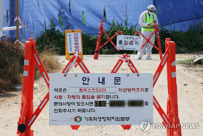 (안성=연합뉴스) 홍기원 기자 = 13일 오전 올해 첫 럼피스킨이 발생한 경기도 안성시의 한 한우농장 출입이 통제되고 있다. 2024.8.13 xanadu@yna.co.kr 연합뉴스