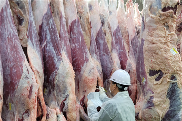 도축 검사. 전남도 제공