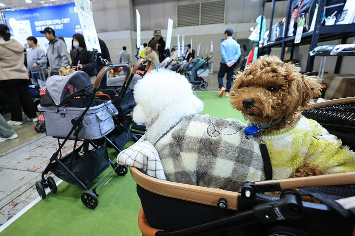 연합뉴스