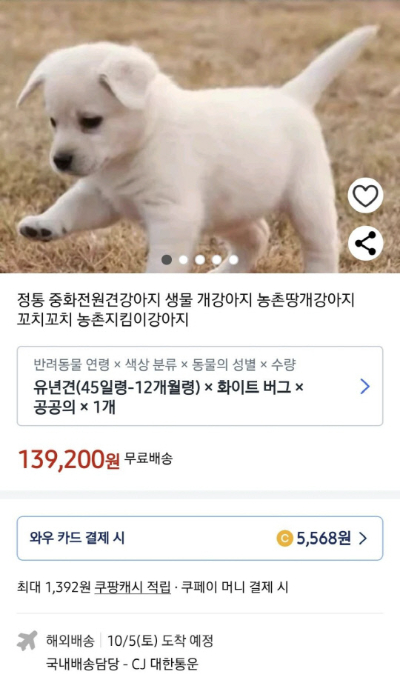 온라인 커뮤니티 캡처