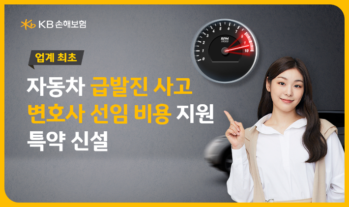 KB손해보험 제공