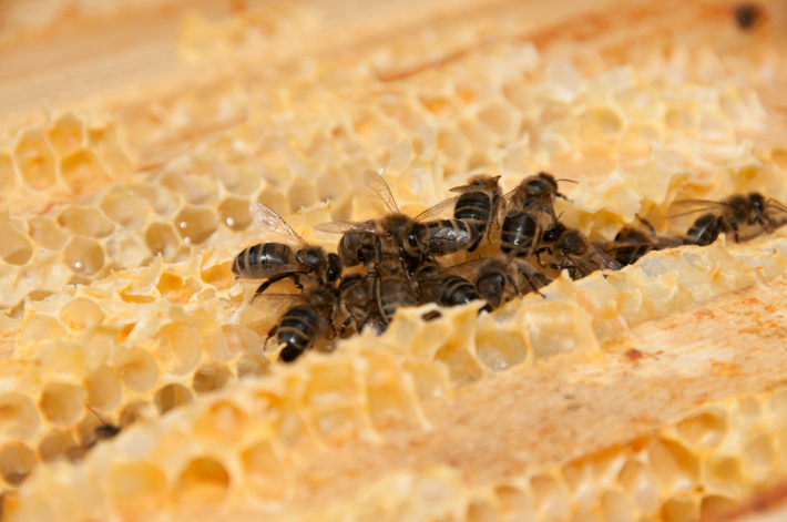 스마트이미지 제공