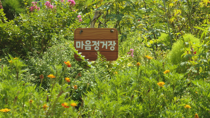 평화교회 이수기목사와 성도들이 8년째 가꾸고 있는 작은 정원 '마음 정거장'.