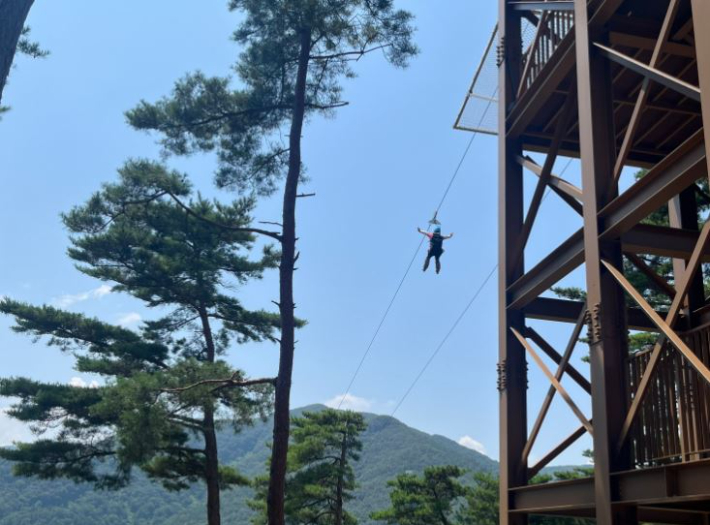 정읍 구절초 지방정원 짚와이어. 전북도 제공