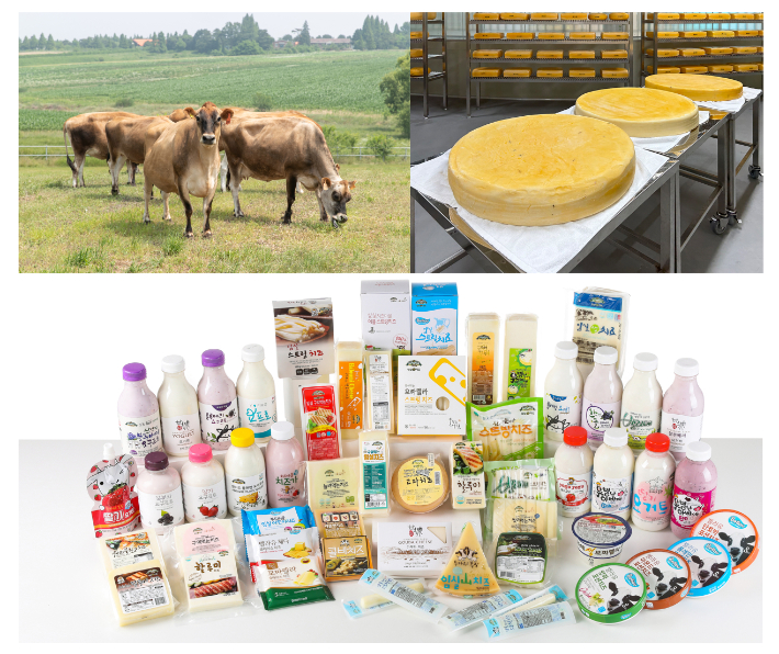 임실 치즈. 임실군 제공