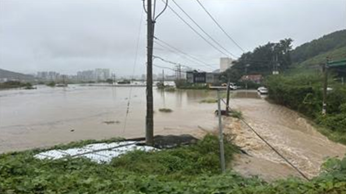 김해 조만강 하천 범람. 경남도청 제공 