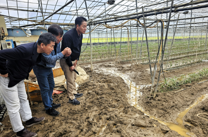 김주양 농협경제지주 산지도매본부장(사진 맨오른쪽)과 조근수 경남농협 본부장(사진 왼쪽)이 23일 집중호우 피해현장을 방문해 피해 상황을 살펴보고 있다. 경남농협 제공