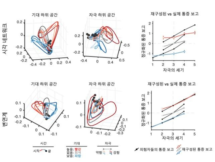 뇌의 낮은 층위 네트워크와 높은 층위 네트워크 비교. IBS 제공