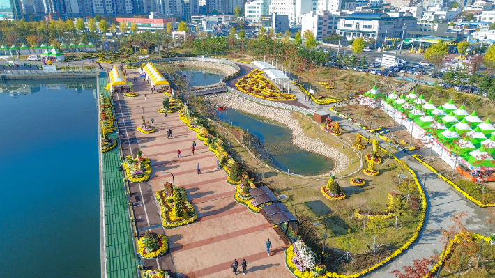 마산국화축제. 창원시 제공