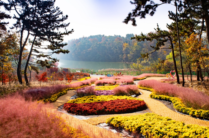 2023년 익산 천만송이 국화축제. 익산시 제공