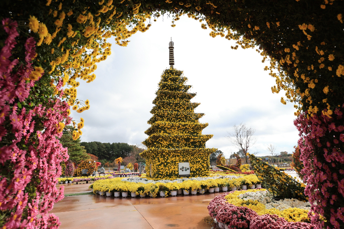 2023년 익산 천만송이 국화축제. 익산시 제공