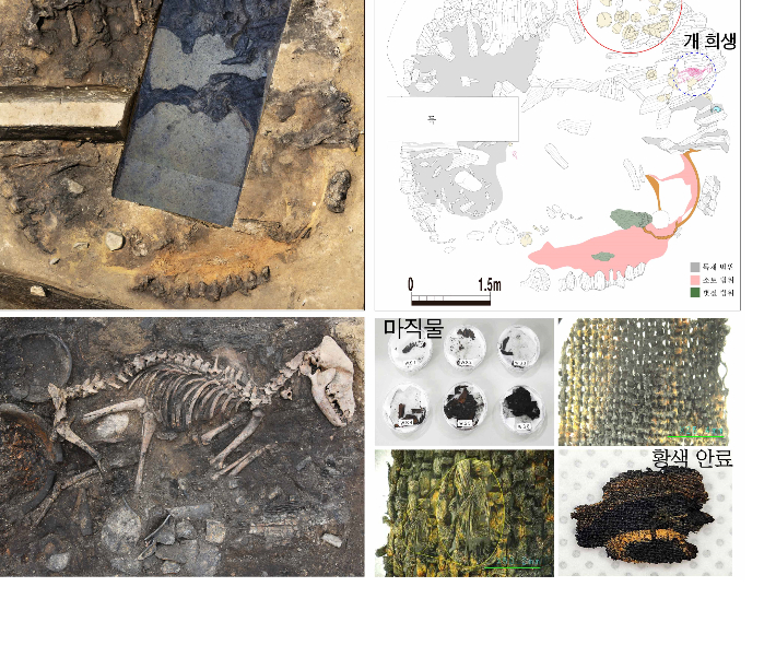 의례 유적의 불탄 흔적과 출토된 개뼈, 마직물 모습. 국립경주문화유산연구소 제공