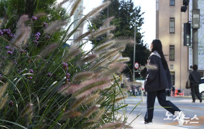 쌀쌀한 가을아침 출근길