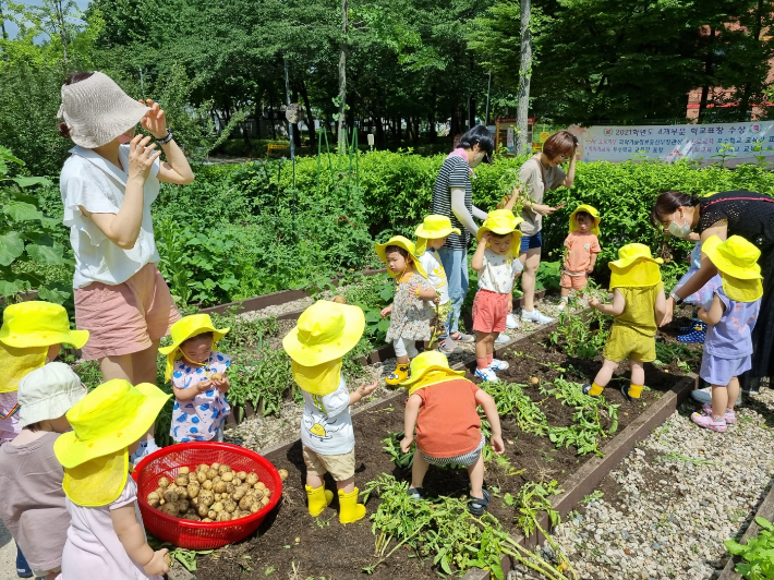 공동체 텃밭활동. 서울시 제공 