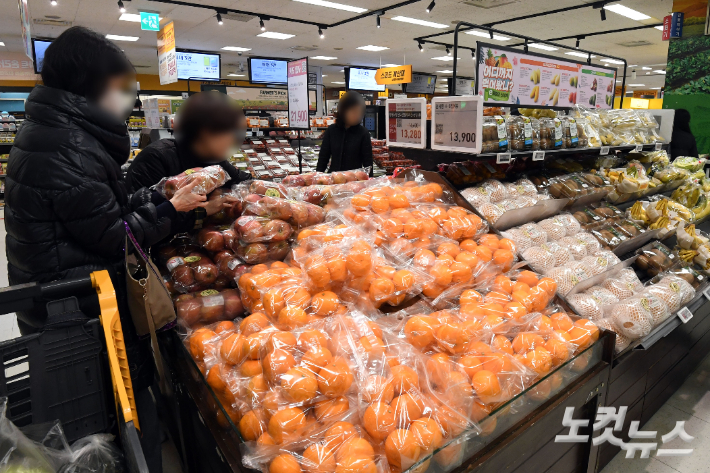 서울시내 대형마트에서 채소, 과일 등을 구매하고 있는 시민들의 모습. 황진환 기자