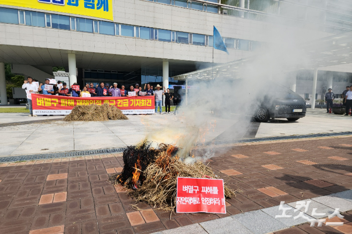 '벼멸구 농업재해 인정'…전남도, 논리 개발·끈질긴 건의 통했다