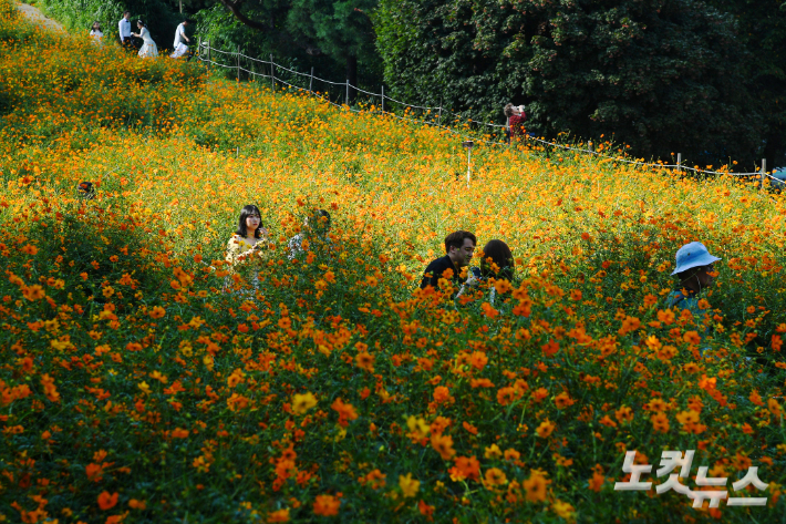 가을 꽃을 만끽하는 시민들. 박종민 기자