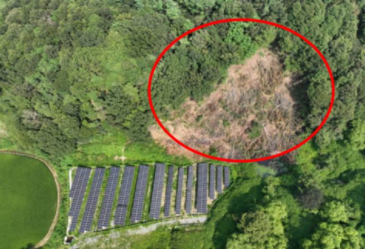 군산 나포면 지역의 무허가 벌채 현장. 전북도 제공