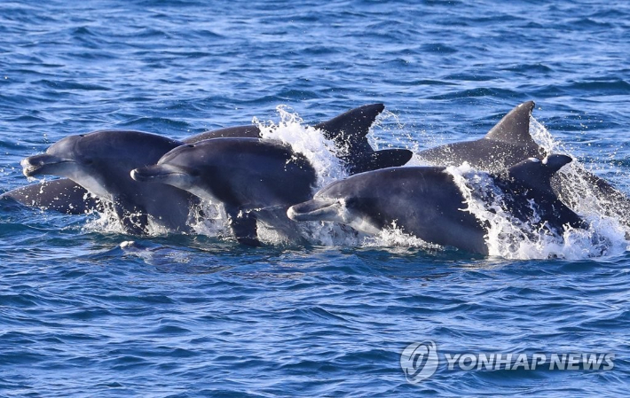 기사와 직접적 관련이 없는 사진. 연합뉴스