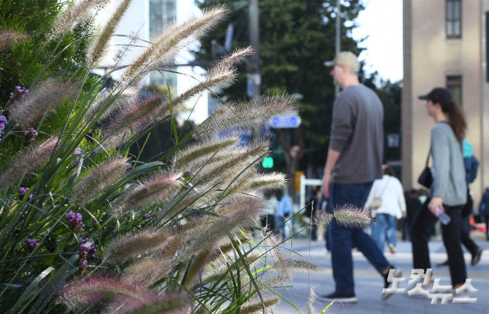 광화문광장 인근에서 시민들이 출근길 발걸음을 재촉하고 있다. 황진환 기자