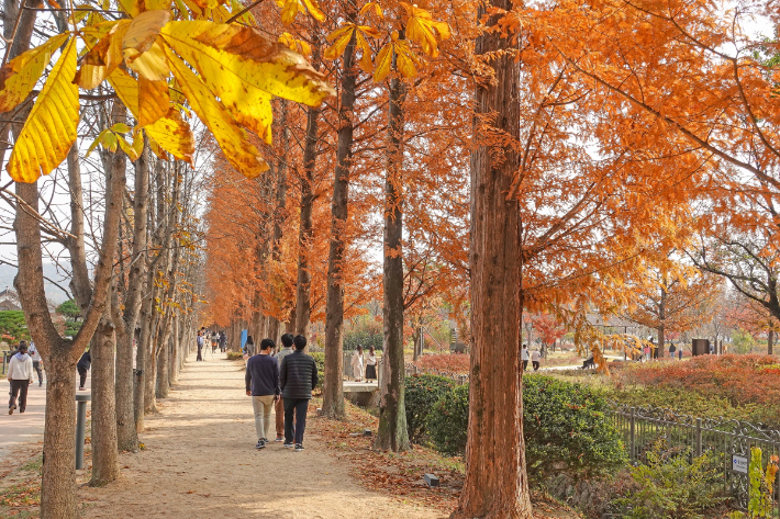 경북산림환경연구원. 경주시 제공