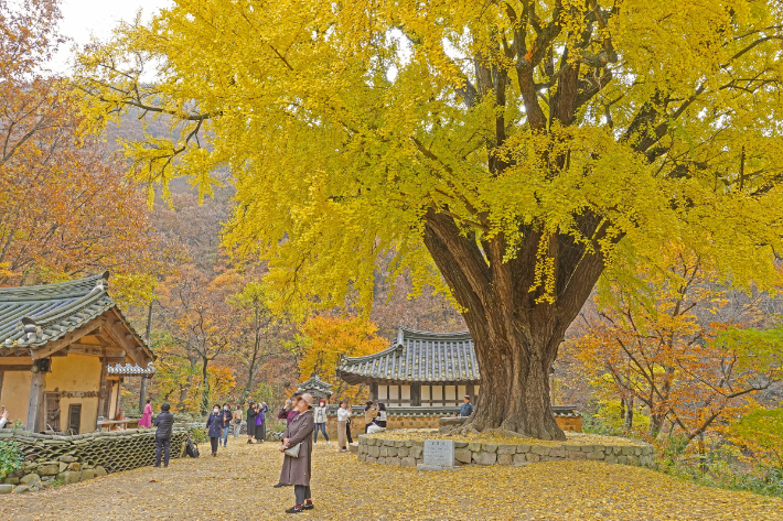 운곡서원. 경주시 제공