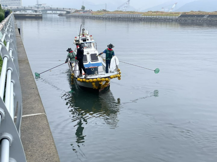 창원시 마산만 마산해양신도시 내호구역에서 정어리 폐사체가 발견되면서 어선을 동원해 폐사체를 수거하고 있다. 창원시 제공