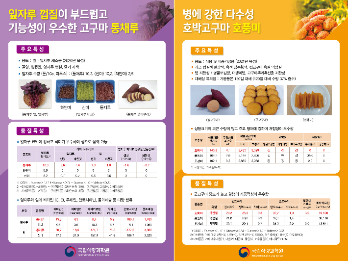 충남농업기술원 제공