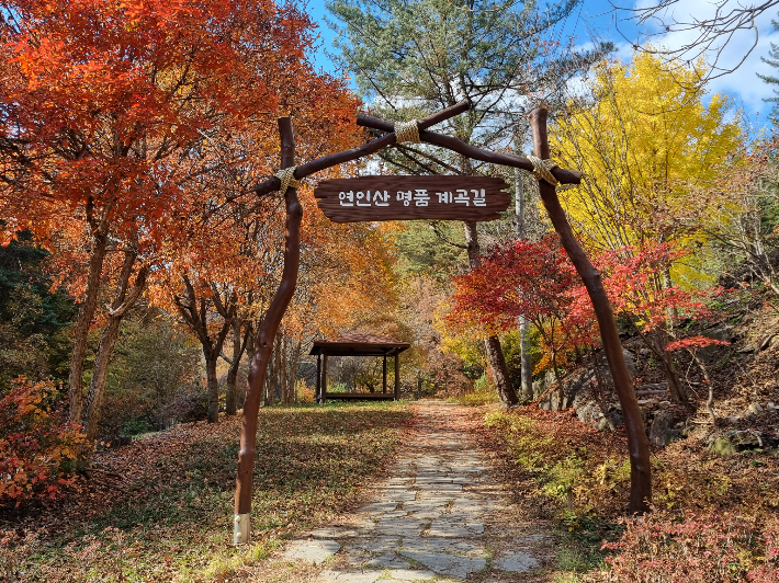 경기도 가평 연인산 명품 계곡길. 산림청 제공