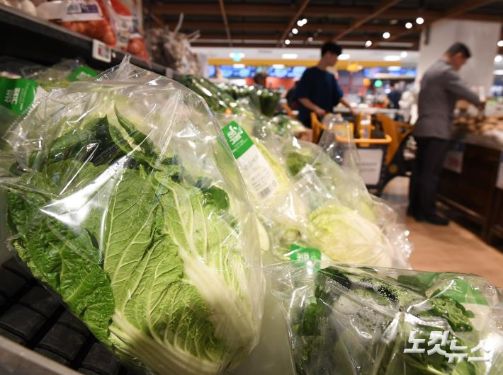 배추. 황진환 기자